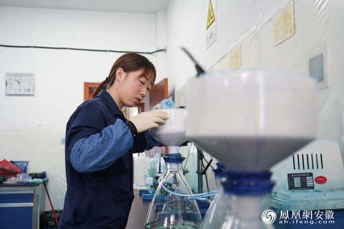 專注有機顏料研發，為宣城工業強市戰略增色添彩